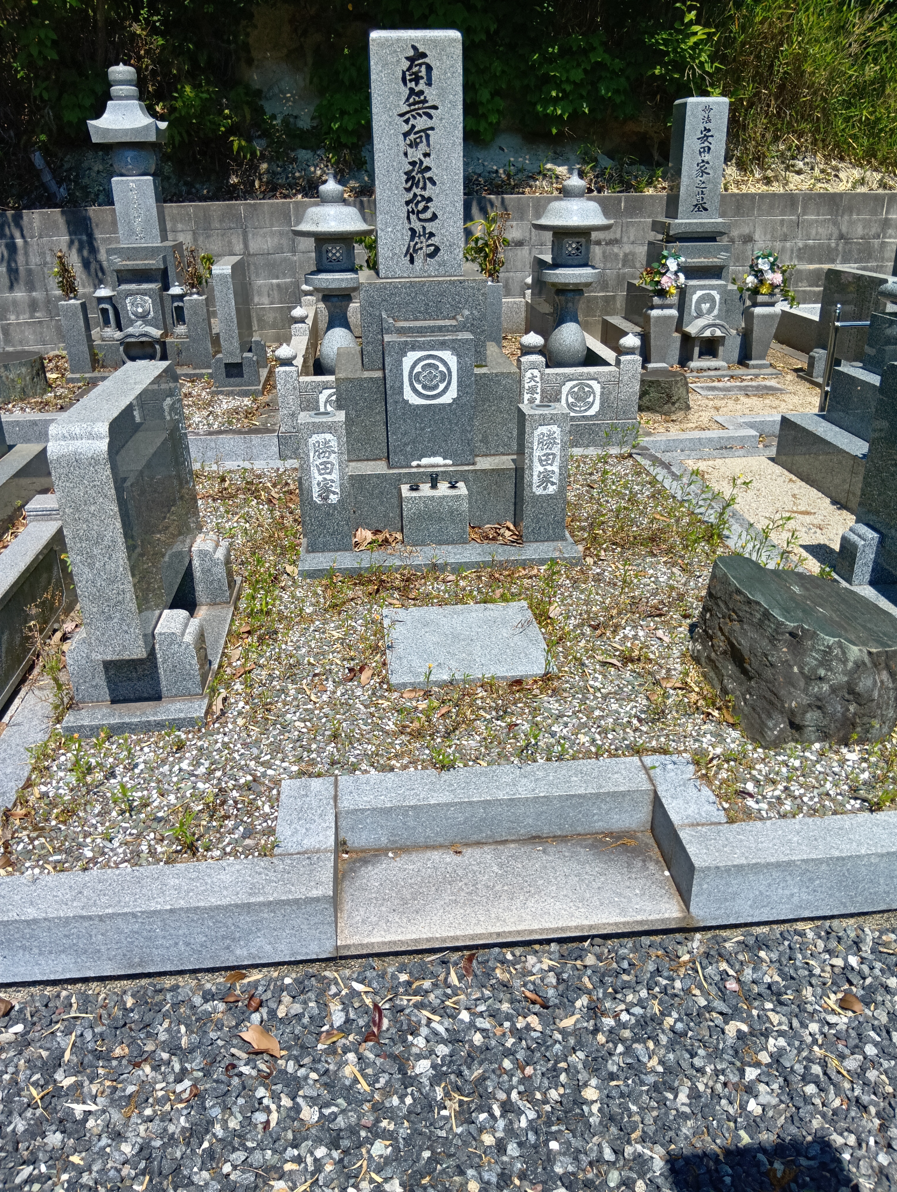 防草施工前